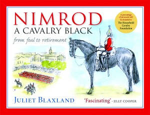 Nimrod : A Cavalry Black